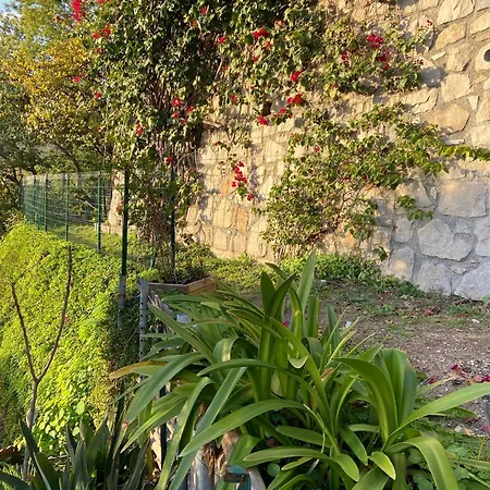 Panoramique Vue Et Jardin-6 Personnes-menton Villa